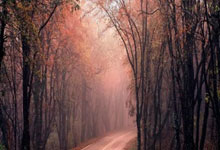 MK体育官网：世锦赛闭幕 中国花滑惨淡收.