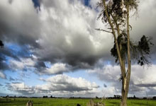 MK体育官网：德约：梅西不仅是伟大球员，过去20年他对世界体坛的影响是巨大的.